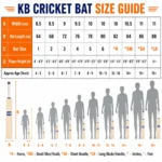 Kart Bazaar Scoop Cricket Bat for Hard Tennis Ball | Wooden Full Size Lightweight Design for Adults & Men | Thick Edges, Wide Sweet Spot, Premium Quality - Image 8